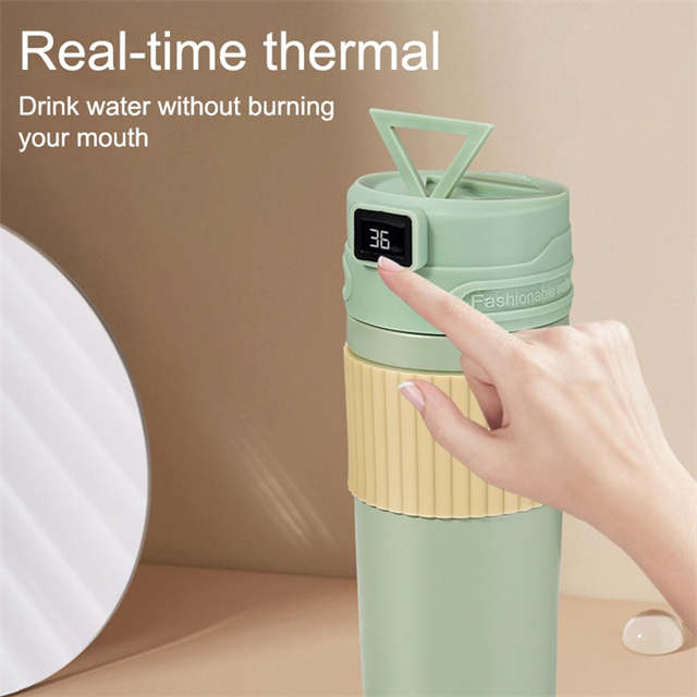 Smart LED Temperature Thermos Coffee Mug Vacuum Insulated Water Bottle