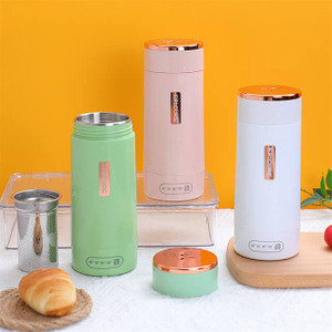 300ml Portable calefactio calicem multifunction cocta aqua ollam dolor teapot Novifaction Temperature Electric Kettles pro Travel