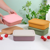 Contenitore per il pranzo Bento in silicone riutilizzabile a 3 scomparti con coperchio
